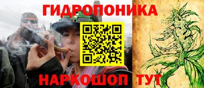 spice Будённовск