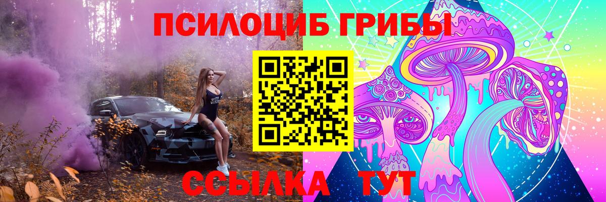где купить наркотик  Галлюциногенные грибы Psilocybine cubensis  Вход с VPN  Рузаевка 