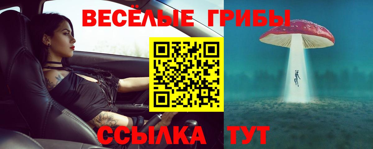 Псилоцибиновые грибы Magic Shrooms Рузаевка